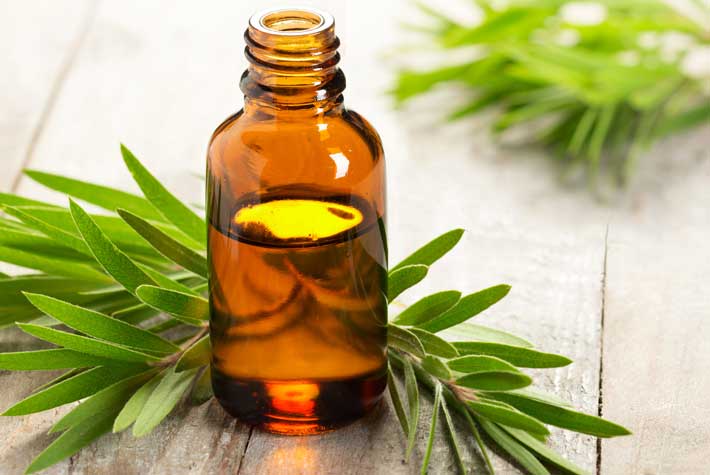 Farmacia Raciti - Olio essenziale di tea tree